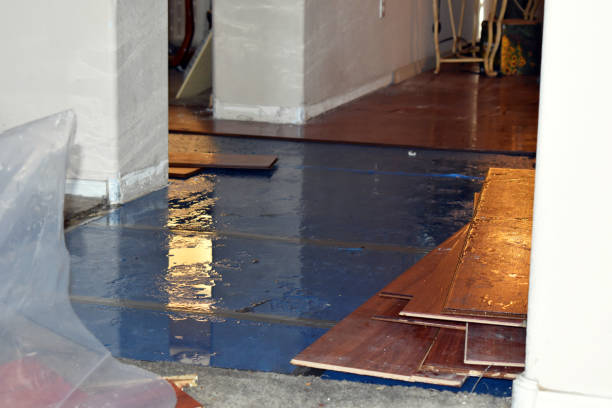 Professional Water Damage Restoration technician working in Sharples, WV